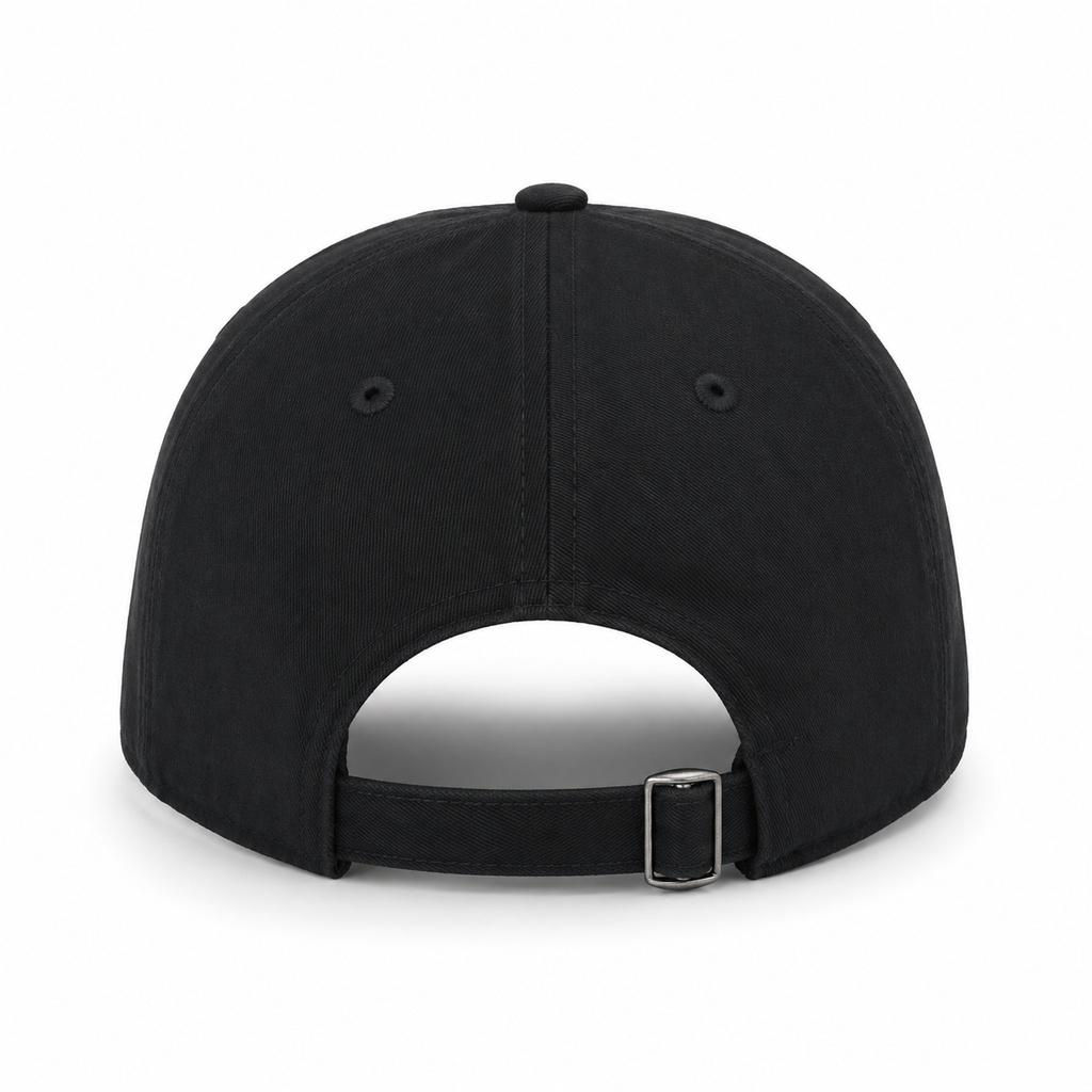 THE PERFECT CAP